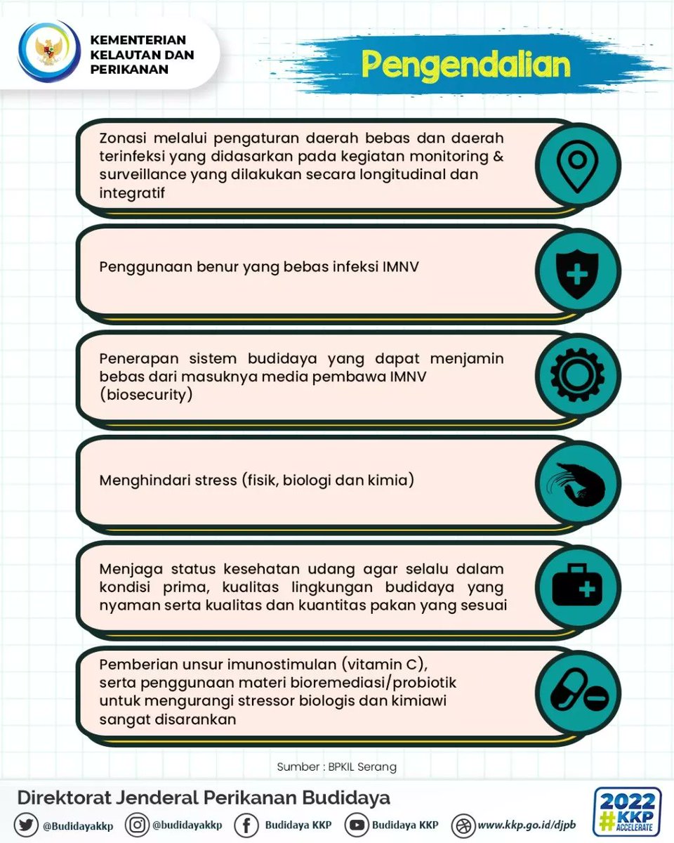 BudidayaKKP's tweet photo. #sahabatbahari @kkpgoid, kali ini mimin akan berbagi informasi mengenai penyakit infectious myonecrosis virus pada udang. pada ingin tahu kan?? yuks kepoin infografisnya 👆

@BPKIL_SERANG
#KKPAccelerate
#KKPGOID #MENTERIKKP
#BudidayaIkanBerkelanjutan
#AkuakulturUntukMasaDepan https://t.co/4z2ghcRARM