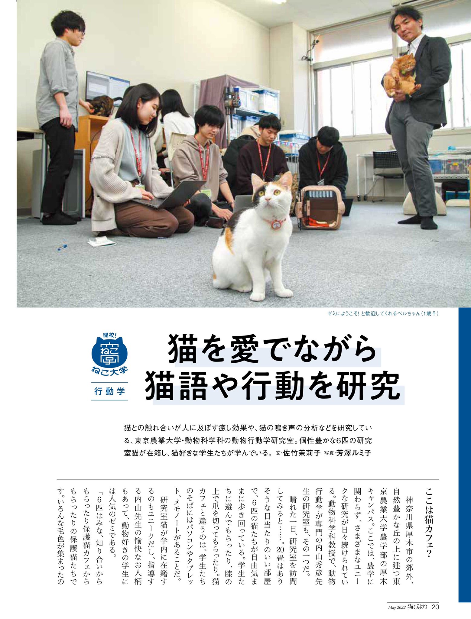猫びより 猫びより 5月号は本日発売 特集では 猫 との触れ合いが人に及ぼす癒し効果や 猫語の研究をしている 東京農業大学 動物行動学研究室 を取材しました フレッシュな学生さんが取り組む猫研究 ワクワクが止まりません ご購入は 猫びより 猫びより 5月号は本日発売 特集では 猫 との触れ合いが人に及ぼす癒し効果や 猫語の研究をしている 東京農業大学 動物行動学研究室 を取材しました フレッシュな学生さんが取り組む猫研究 ワクワクが止まりません ご購入は