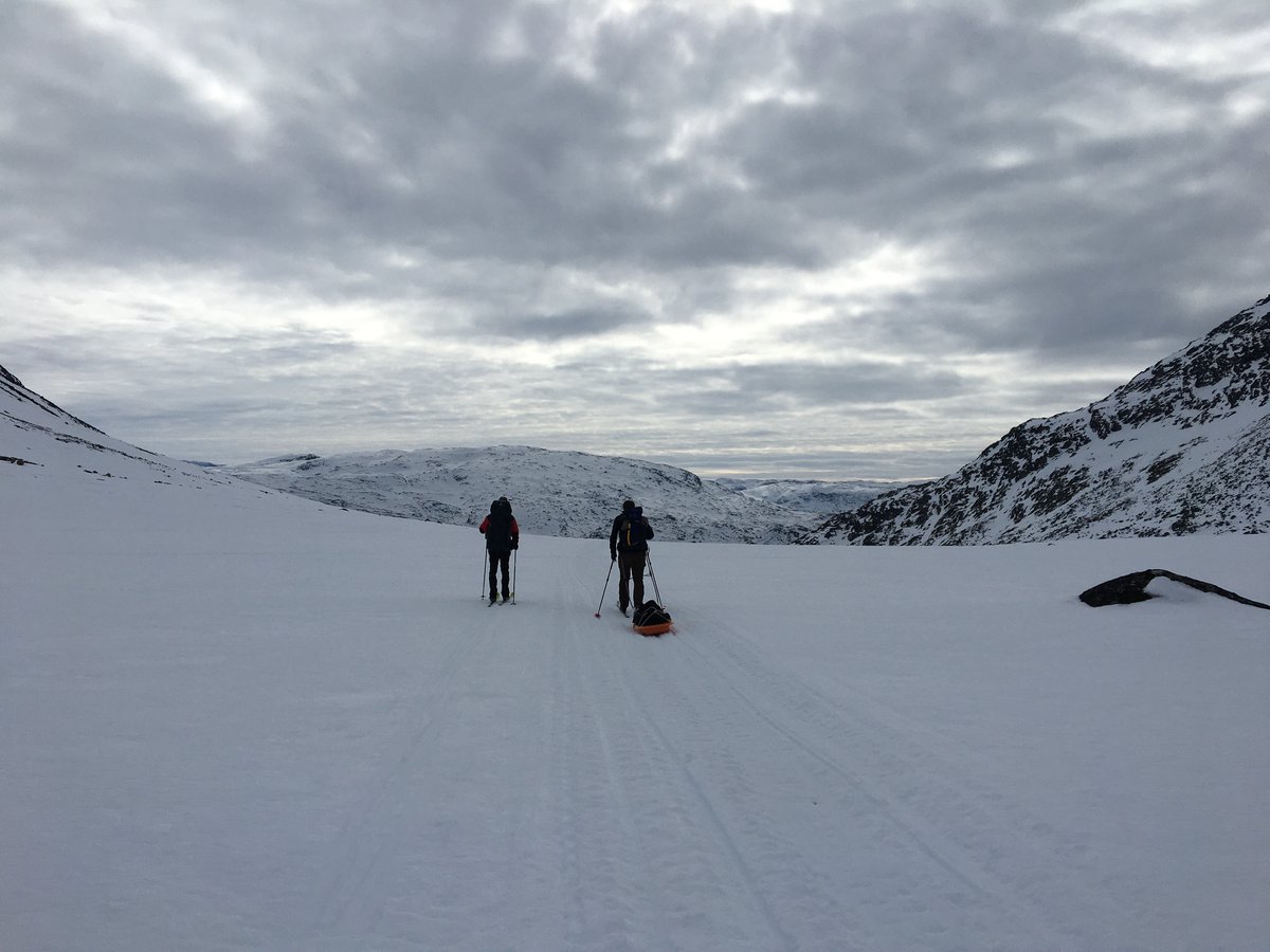 NuukNERO's tweet photo. #ClimateBasis and #Geobasis carried out the annual snow survey in Kobbefjord, snow pits, snow probing and much more... #Research #Arctic #Fieldwork #Greenland #GreenlandEcosystemMonitoring #NuukBasic #Monitoring #Arctic #Greenland #Hydrology #Climate https://t.co/k6n4DcUcqd