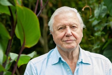 I propose that we now enact the secret constitutional provision allowing David Attenborough to take over the running of the country in times of crisis.