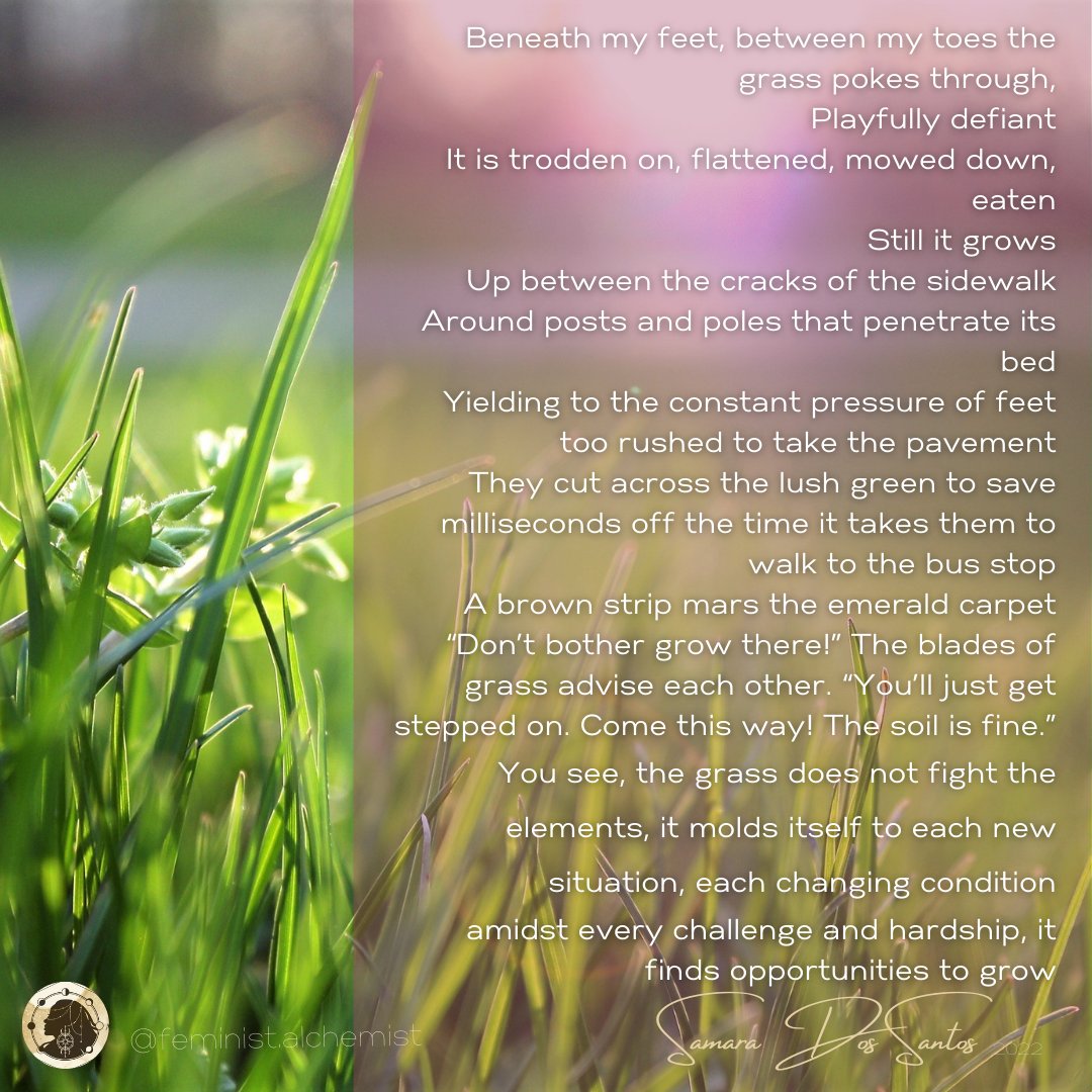 SamaraAlchemist's tweet image. Just some Earth inspired poetry to start my day🌍