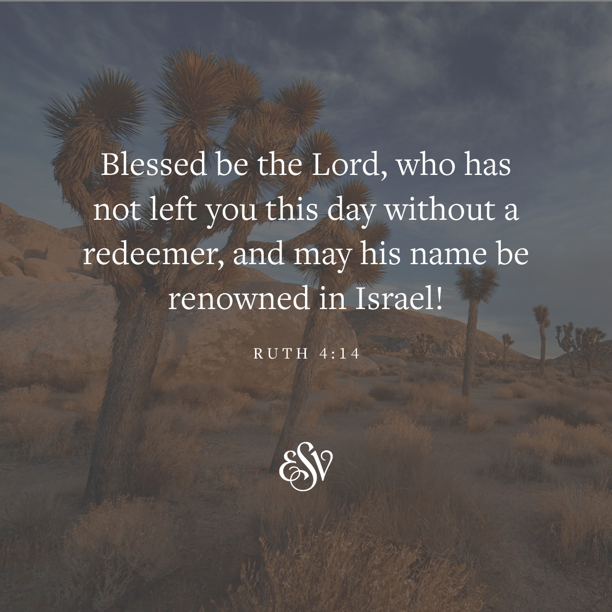 crossway's tweet photo. "Blessed be the Lord, who has not left you this day without a redeemer, and may his name be renowned in Israel!"
—Ruth 4:14, https://t.co/PKwMaugyaq
#ESV #Bible #VerseoftheDay #Ruth4 https://t.co/7nhdvspEgw