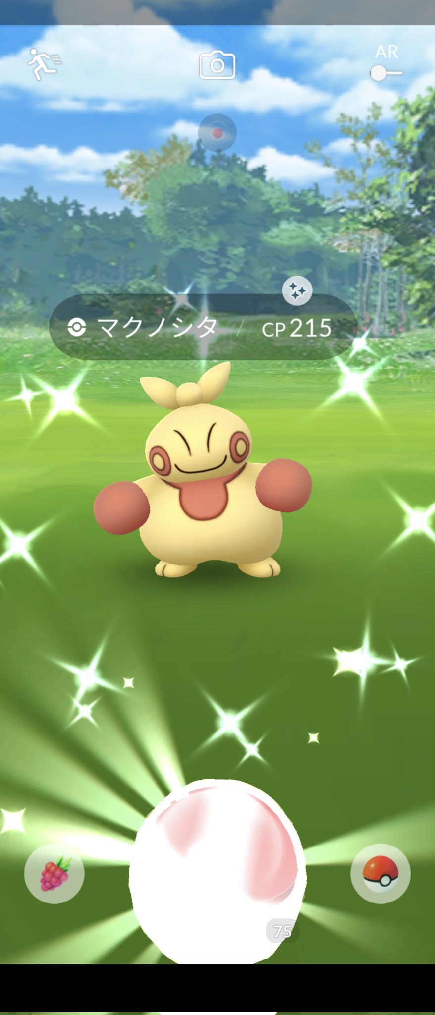 にゅーぶりーど グッドモーニング色違いマクノシタ ２体目なんで進化 ホルビーは出ず ポケモンgo 色違い T Co Smzmblfh8z Twitter