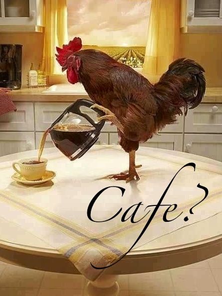 CHOCHlTOS's tweet photo. ¿café? https://t.co/o6MQNsJAwu