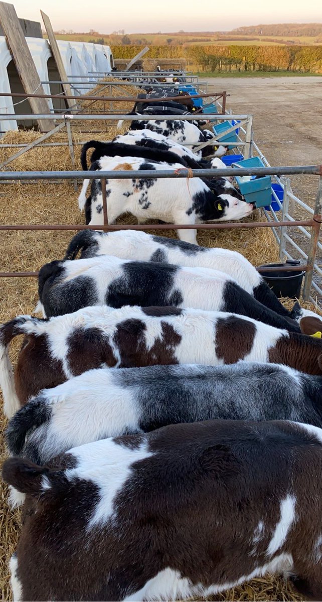 Megan Edwards tweet media