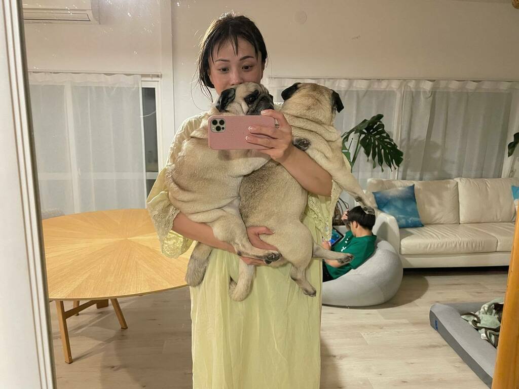 moncome's tweet photo. 2022.4.12
兄ちゃんゲーム始めちゃったから🎮
今夜はママのW抱っこでお２階行きましょうねぇ🛏
#早寝早起き

#ソナチャックハリー #ソナさん
#310Chuck #310Harry
#pug #dog #犬 #パグ https://t.co/psAP8t2EBY https://t.co/ikY60phF1q