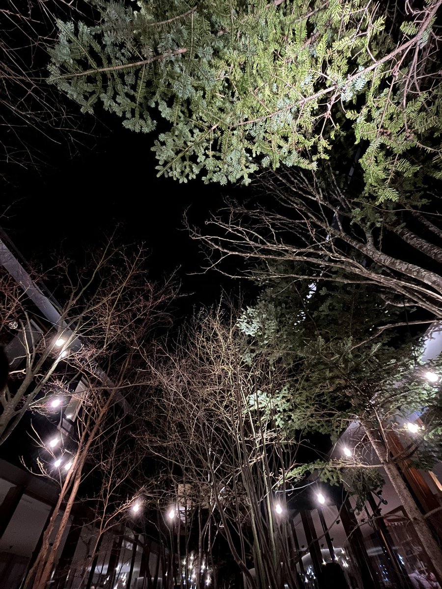 syml_y's tweet photo. feel the night流しながらChillした https://t.co/YNzgCIKmif