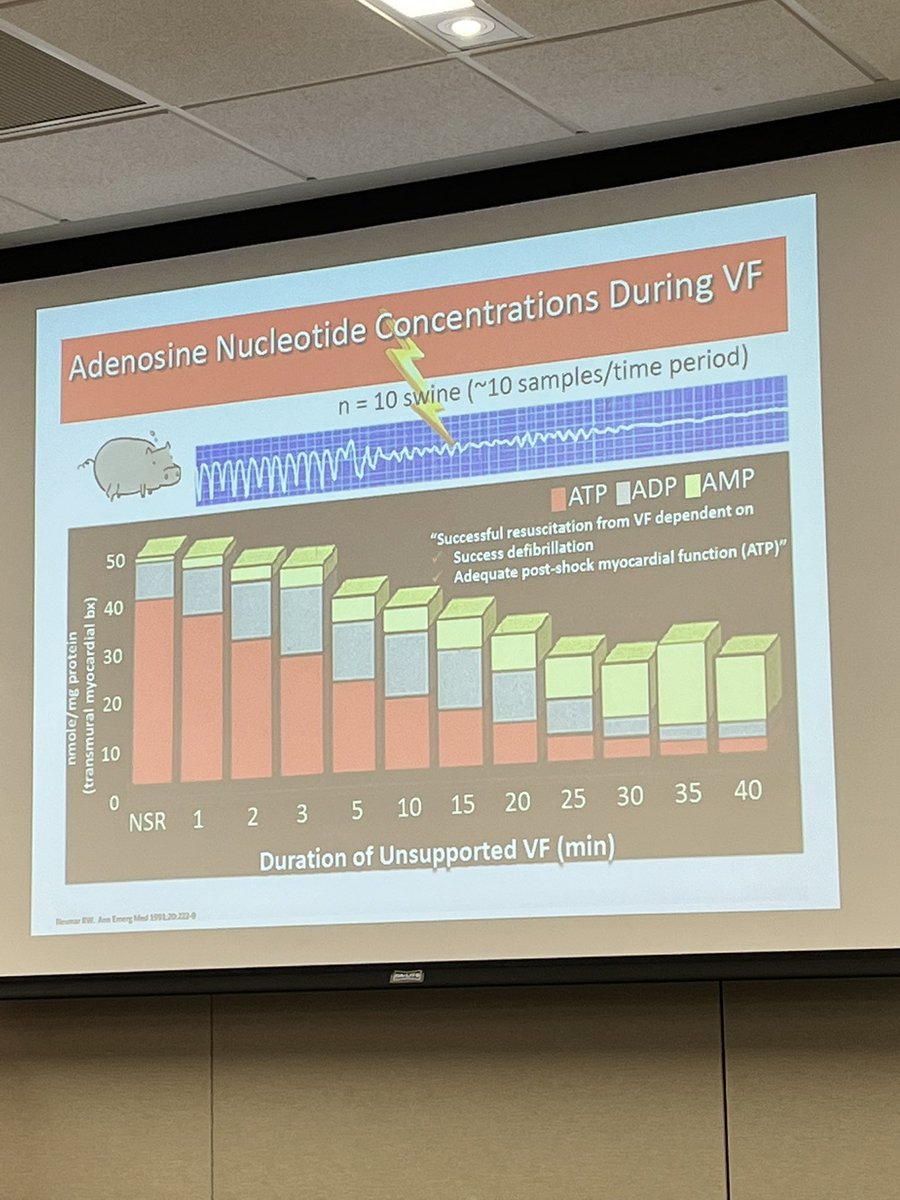 Stephen Rahm (@stephenrahm) on Twitter photo The heart uses more ATP in VF than in NSR - Dr. Ahamed Idris @ #BESTEMS <a href="/ResuscAcademy/">ResuscitationAcademy</a> The heart uses more ATP in VF than in NSR - Dr. Ahamed Idris @ #BESTEMS <a href="/ResuscAcademy/">ResuscitationAcademy</a>