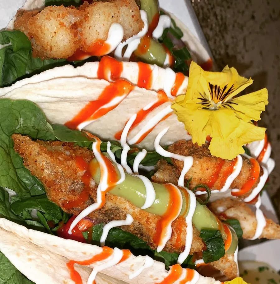 Northern Sole tweet media