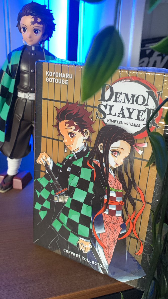 Gutsinh0's tweet photo. Achat du jour (collector Kny tome 21)🔥🔥🔥 https://t.co/fb0paYrAfE