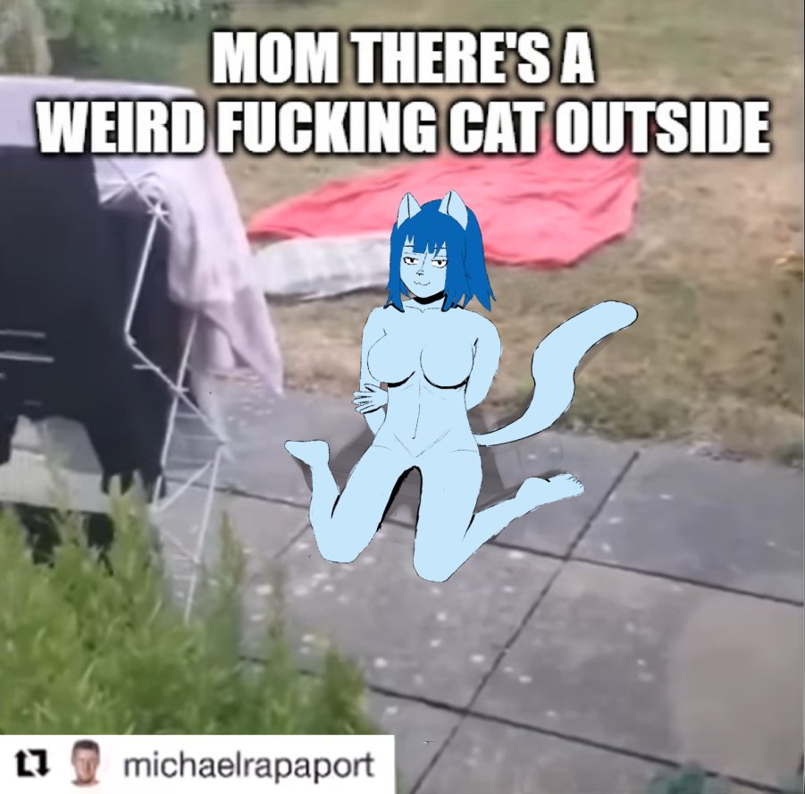 charystuj's tweet photo. i'm addicted with Telepurte's kittycat video

#telepurte #telepeturtle #catgirl #kittycat #meme https://t.co/zdYCvCcTJB