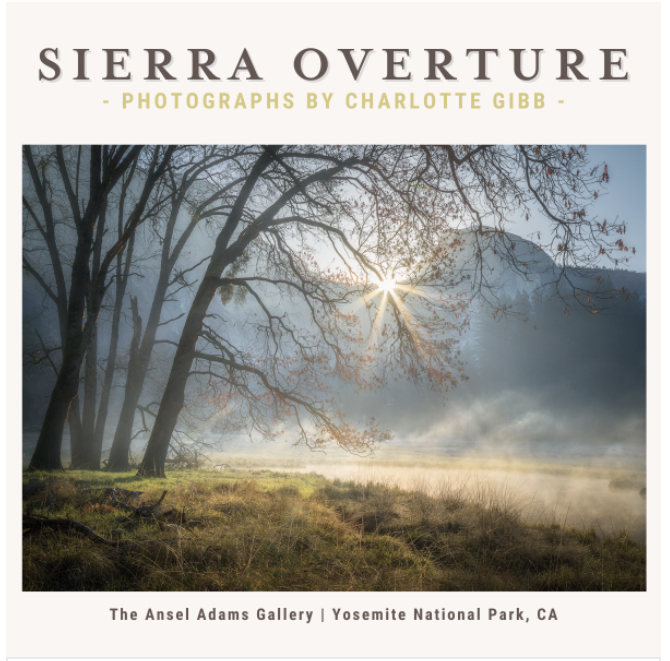 CharlotteGibb's tweet photo. I will be making my debut as a represented artist of The Ansel Adams Gallery in Yosemite with my first solo exhibit there April 24-June 4. "Sierra Overture" is a collection of my photographs anchored in my deep connection to Yosemite and the Sierra Nevada.https://t.co/oblYxQMoRe https://t.co/qGTMddKjkJ