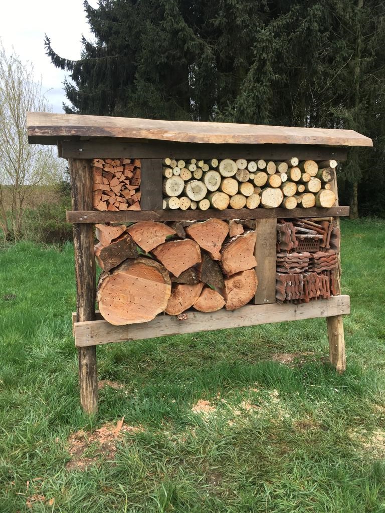 Limb_Landschap's tweet photo. Een aantal jaar geleden hebben we een klein perceel in Neer geschonken gekregen. Op dit terrein staan nog wat houten schuurtjes waar hout in lag. Dit hout hebben we nu gebruikt om een insectenhotel van te maken 🦋 https://t.co/5DeW7j9848