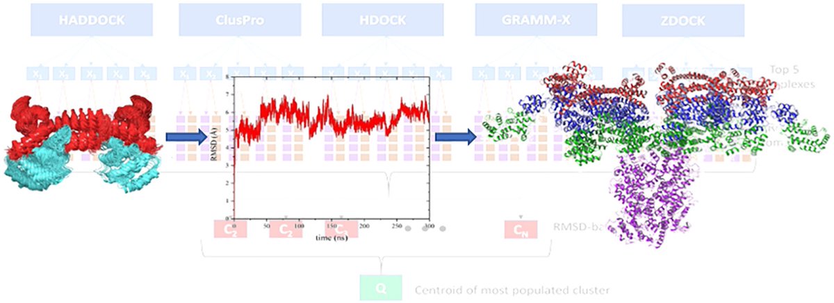 videc_rise's tweet image. We look forward to learning about the ongoing work and new discoveries by VIDEC researchers!
You can read the full article here: DOI: 10.1021/acs.jcim.1c00301 3/3
#apoptosis #ProgrammedCellDeath #CellDeathProteins @JCIM_JCTC @ACSPublications