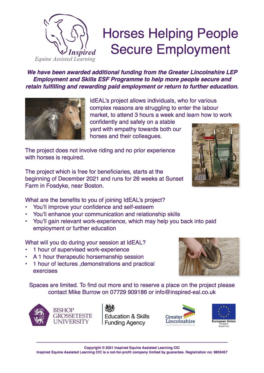 InspiredEAL's tweet photo. Use it or loose it! We urgently need people to join our fully-funded project. The project provides both therapeutic horsemanship sessions and supervised work-experience, either to small groups or 1-2-1.
#useitorloseit #freetraining #workexperience  #equinetherapy  #lincsconnect https://t.co/5OrjC1GcGD