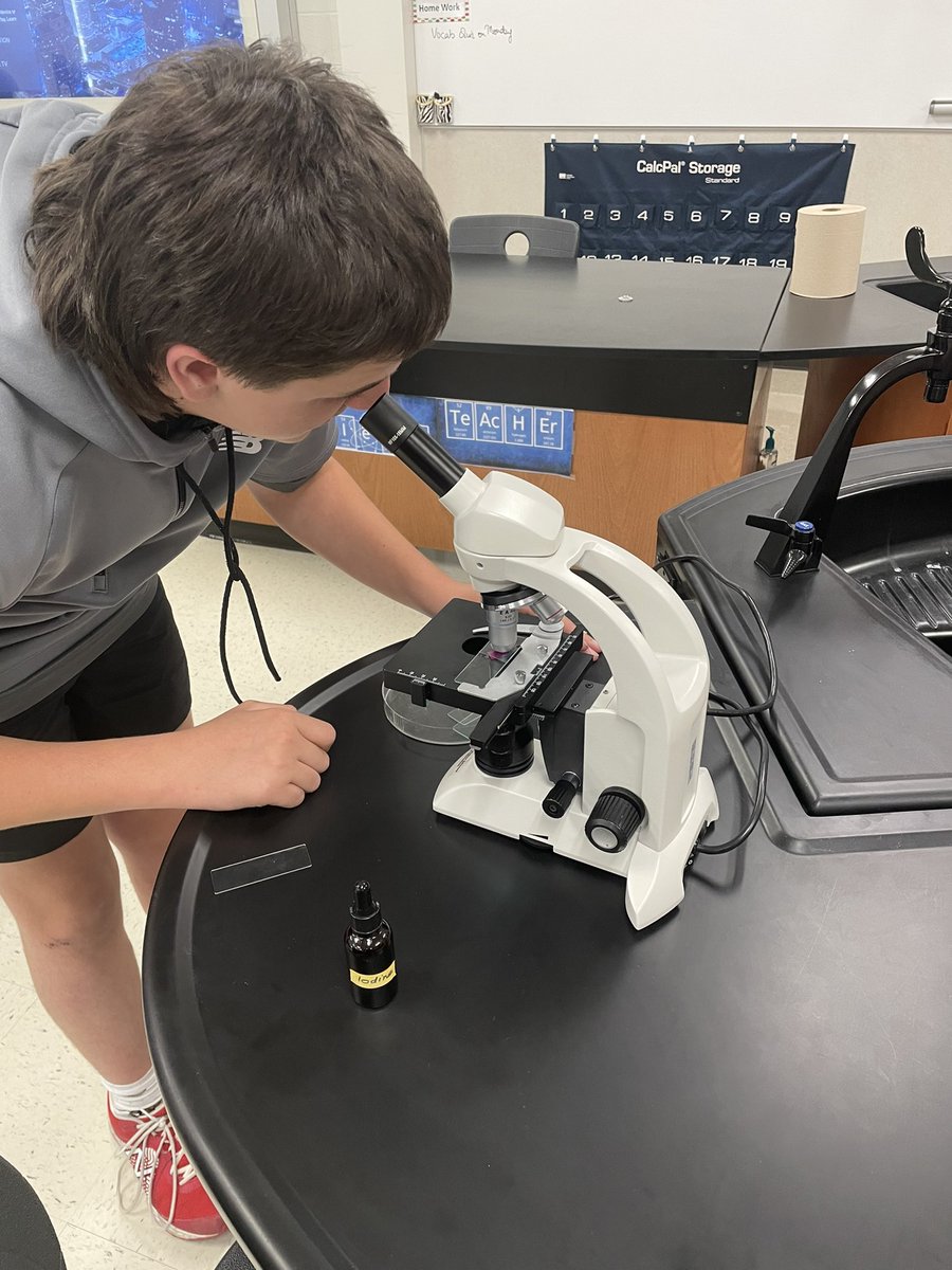 MarcusMrsD's tweet photo. Students explored plant systems with flower, seed dissections and leaf stomata microscopy @MHS9th https://t.co/nkJZGZLuHK