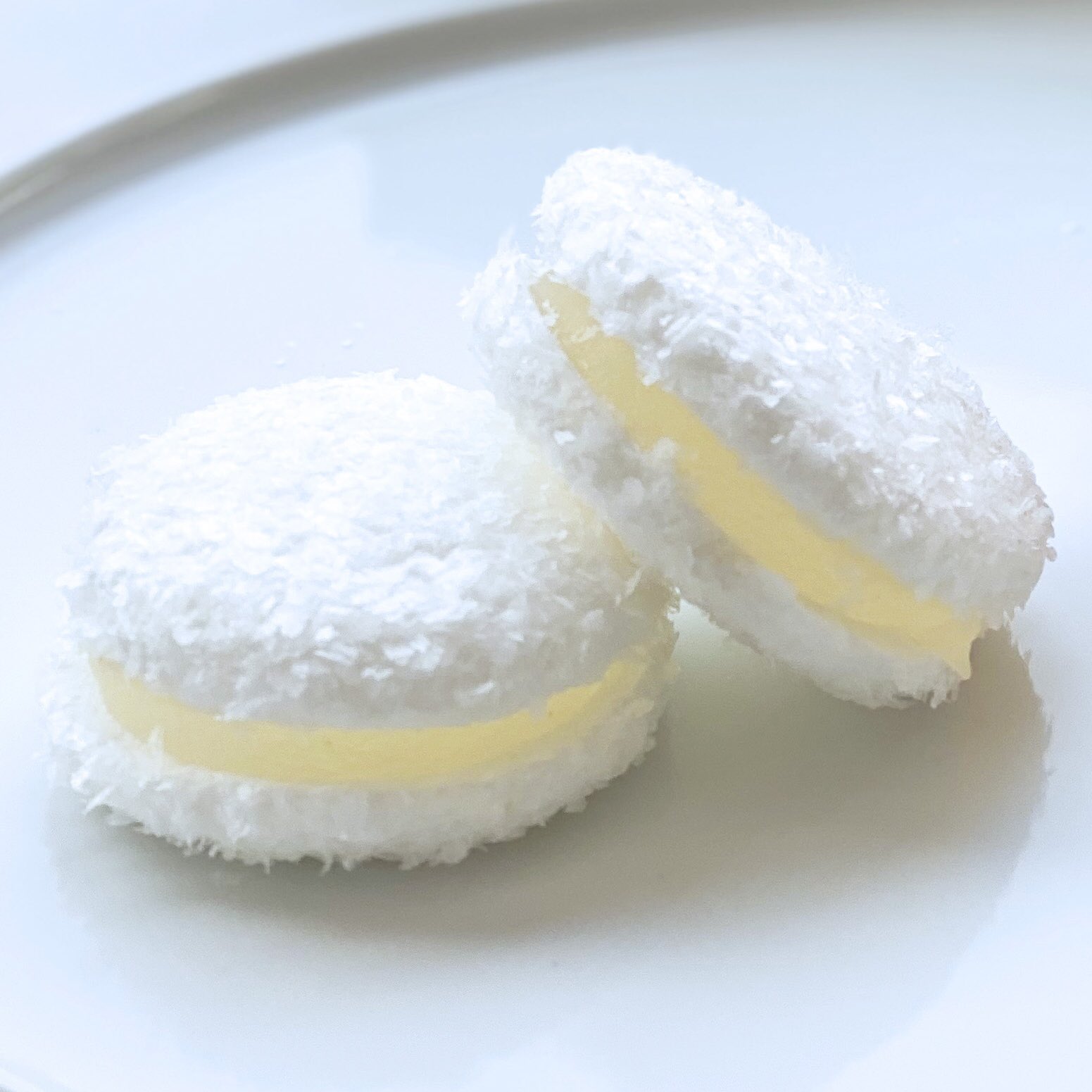 藤い屋 Coconca Fujiiya Coconca Twitter