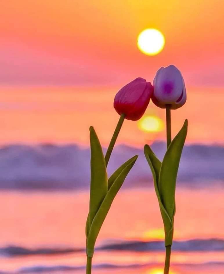 'I always have something from the shadows of the clouds or the foam of the sea' 💙;