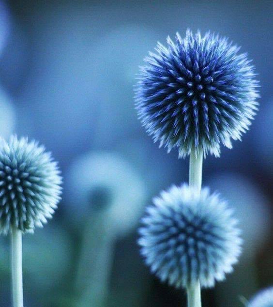 NUNCA PIERDAS LA ESPERANZA, los milagros ocurren cada día.
"Un milagro es en sí un hecho en el cual se manifiesta el amor de Dios hacia los seres humanos".
Todos y cada uno de nosotros somos un milagro.
¡La vida es un milagro!!!