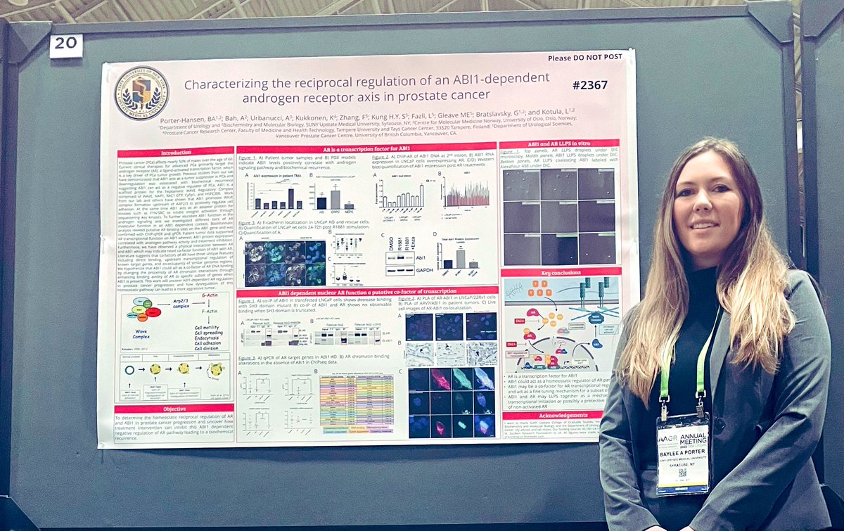 KotulaLab's tweet photo. Come check out our PhD Candidate Baylee Porter’s Poster S 7 B20 #AACR22 https://t.co/L9MjZEK4Mk