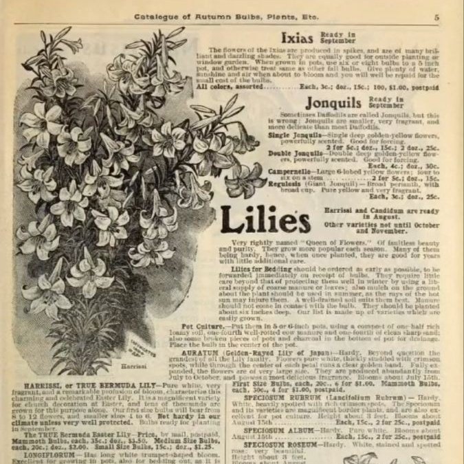 𝙳𝚊𝚛𝚔 𝚊𝚌𝚊𝚍𝚎𝚖𝚒𝚊 𝚍𝚛𝚎𝚊𝚖𝚜 tweet media