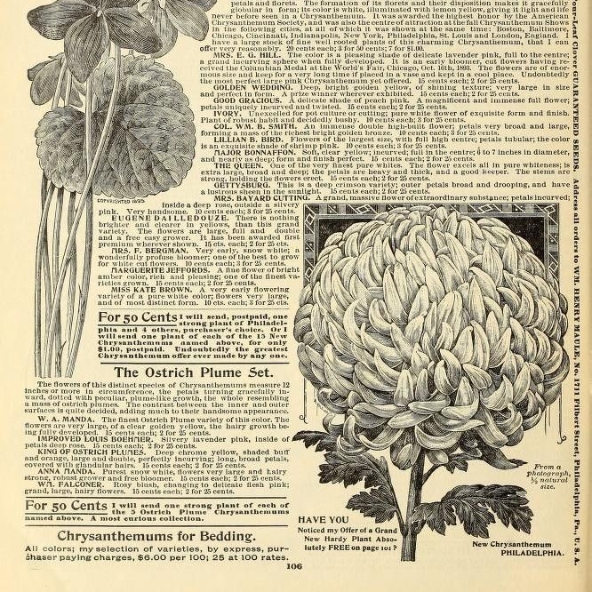 𝙳𝚊𝚛𝚔 𝚊𝚌𝚊𝚍𝚎𝚖𝚒𝚊 𝚍𝚛𝚎𝚊𝚖𝚜 tweet media