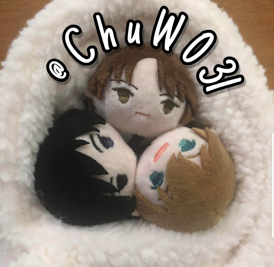 ChuW031 | • ตอบช้า/อ่านเธรดหมุดก่อนซื้อ tweet media