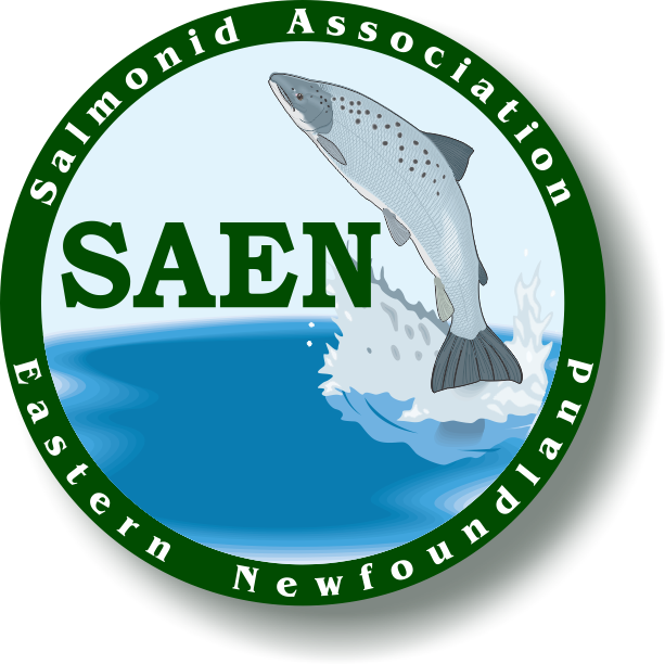 official_SAEN's tweet photo. SAEN is holding its 2022 AGM at 7:30 pm tonight, Apr 12, in the “Alley” room at the Royal Canadian Legion in Pleasantville. The meeting includes a presentation on the recent catch and release study by Blair Adams, one of the authors of the study. Masks will be required. https://t.co/DeAFD0iBh5