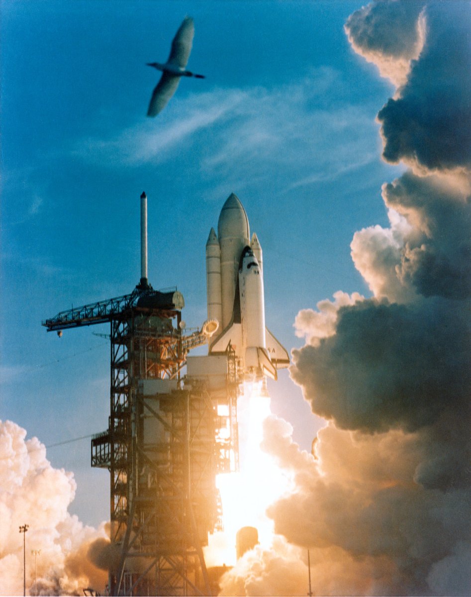 NASASpaceflight's tweet photo. STS-1 - Shuttle Columbia - KSC 39A. 

John Young and Bob Crippen launched this day in 1981 on the maiden flight of the Space Shuttle. The ultimate test flight.

STS-1 "Resource Tape" video: 
https://t.co/5fuwsSvVL3

#HailColumbia https://t.co/ZLrFmI2wRZ