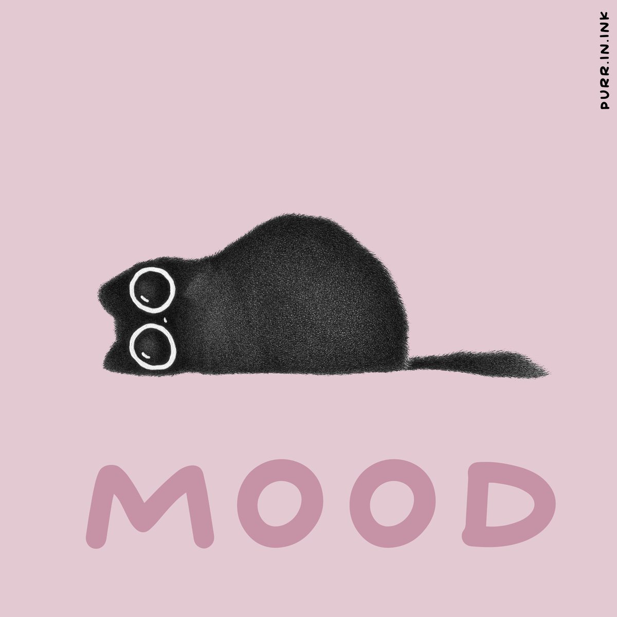 #CatsOfTwitter #mood