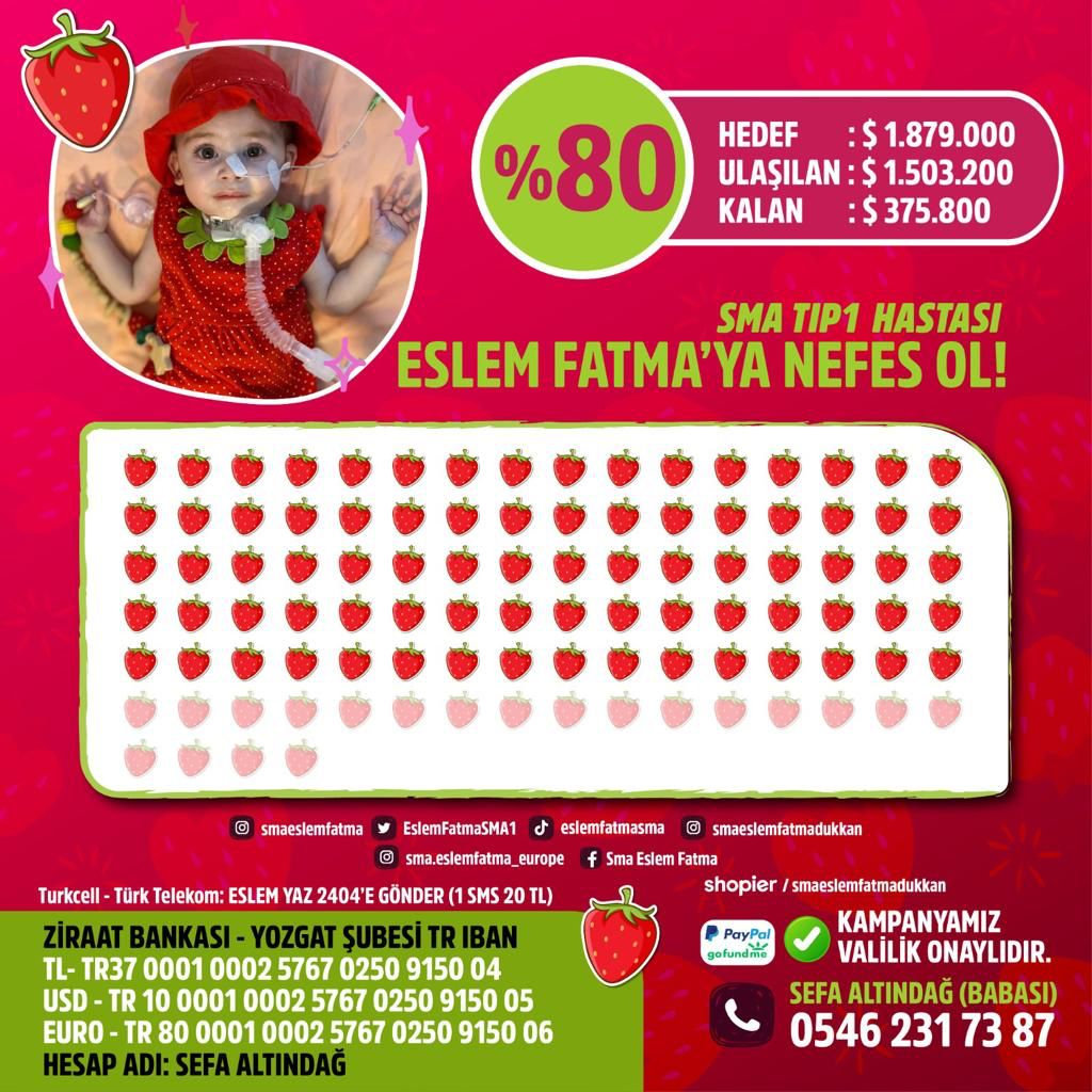 🍓Müjdeeee !! %80 oldukkk🍓
Damlaya damlaya göl oluyoruzun tam olarak karşılığı haline gelmeye başladık. Artık milyonlu rakamlar geride kaldı. Eslem Fatma'nın kampanyasının bitmesi için 375.800 $'a daha ihtiyacımız var. Bitirmemiz için sadece duyurmamız, elden ele yaymamız lazım.