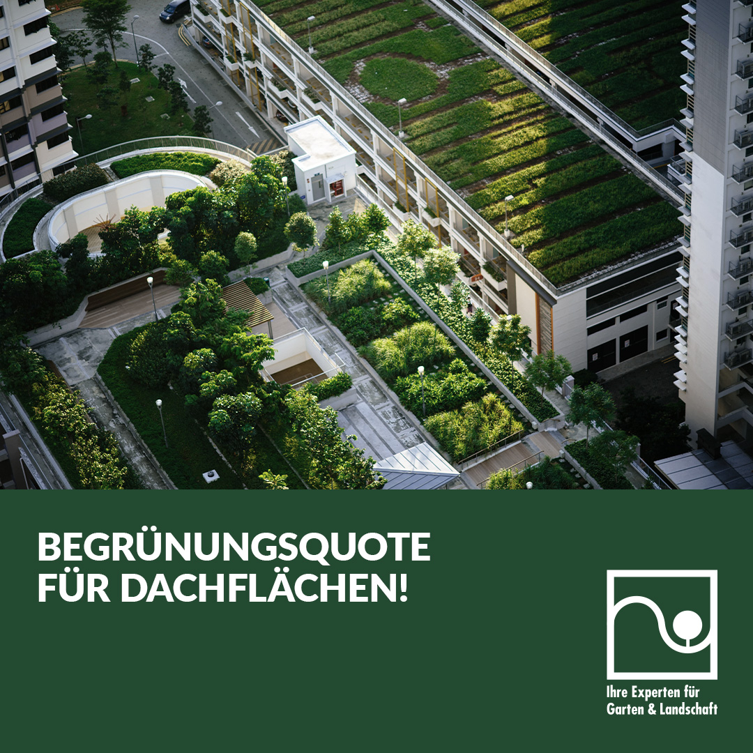 Dachbegrünungen sehen nicht nur schön aus. Sie sind auch nützlich für die Umwelt! 

Warum diese ganzen Vorteile also nicht vermehrt nutzen? Mit einer #Begrünungsquote zum Beispiel! 

Sorgen Sie für mehr Grün auf den Dächern der Städte – bei den #LandtagswahlenNRW 2022.

#gründach