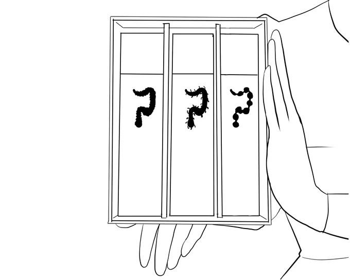 三種類のうんこ排泄 