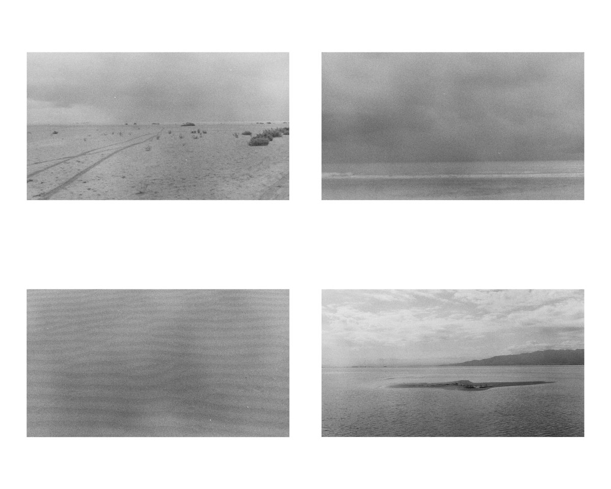 enricsirera's tweet photo. Fa mig any varem anar al #deltadebre amb una #minolta de #35mm amb un rodet #ilfordhp5 i va sortir aquesta meravella... https://t.co/naDlCI47sz