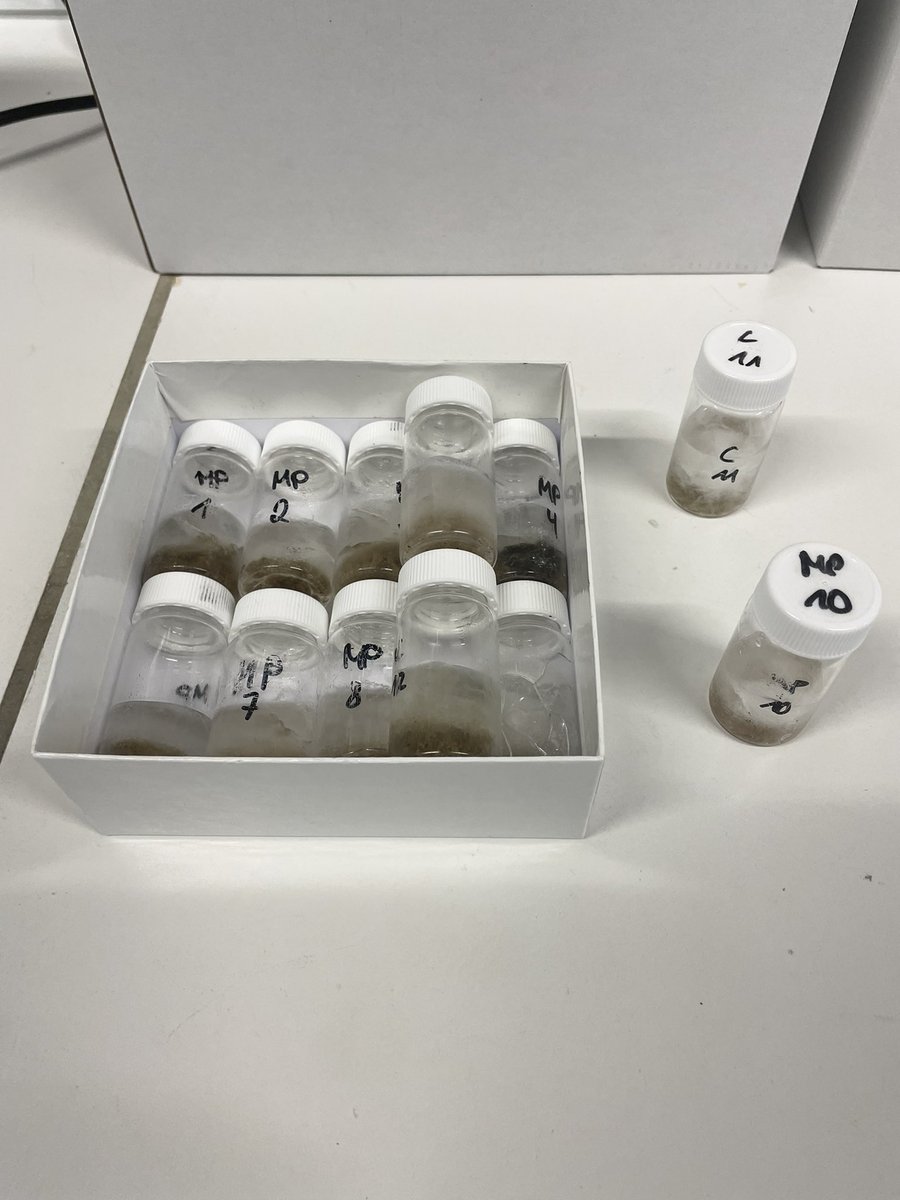 Vaibhav Budhiraja (@vaibhavplast) on Twitter photo Let’s search for Microplastics in fish faeces…..!!!! <a href="/AzoraKonig/">Azora König Kardgar</a> smelly samples🐟🐠🐡💩💩💩 Let’s search for Microplastics in fish faeces…..!!!! <a href="/AzoraKonig/">Azora König Kardgar</a> smelly samples🐟🐠🐡💩💩💩