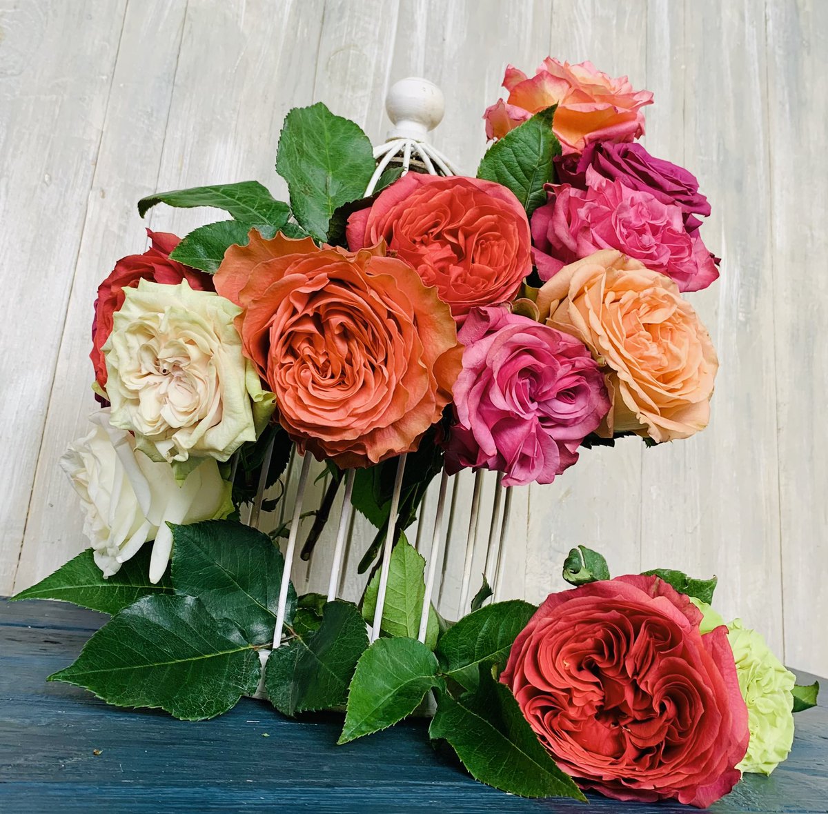 The best quality of garden roses just a few clicks away lahaciendaflowers.com #rosesfromecuador #sweetness #elegance #weshipdirect #americanfarminecuador #wecare #lhf #lahaciendaflowers