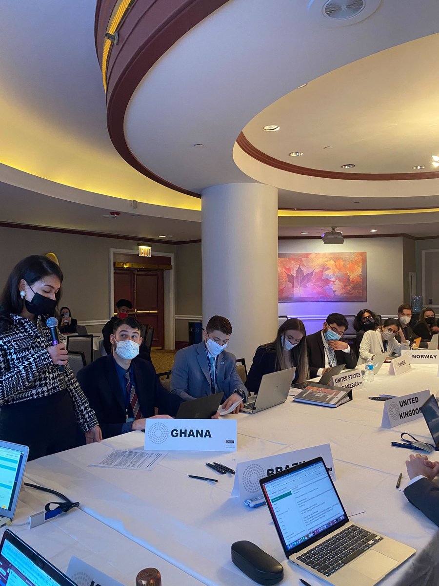 The Security Council of Week B is being informed of an emerging crisis situation between Israel &amp; Palestine from a Pulitzer prize winning journalist from Palestine! #NMUNNY2022 #crisis #EmergingResilient #SecurityCouncil #unitednations