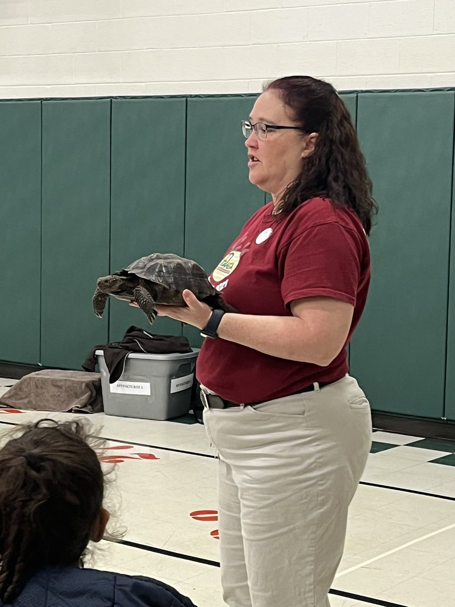 PV Elementary tweet media