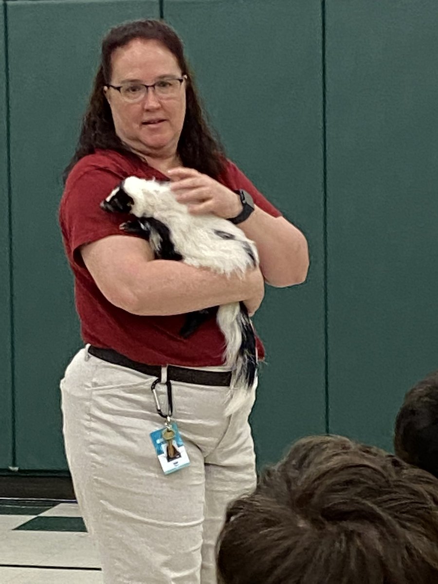 PV Elementary tweet media