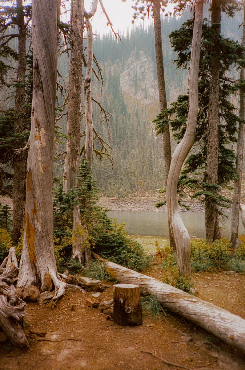 AlexKittoe's tweet photo. Montana scenes on 35mm https://t.co/IMPXfMcKiv