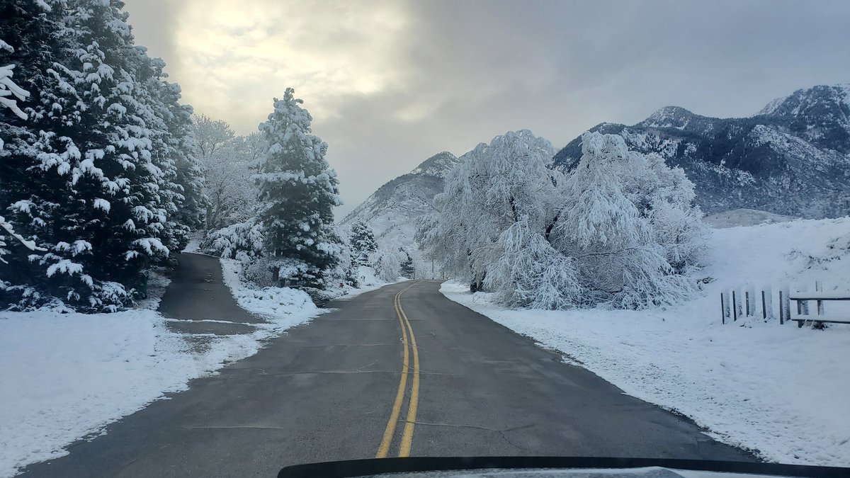 doswaldslc's tweet photo. When it's springtime in the Rockies... https://t.co/VrJzi65hnv