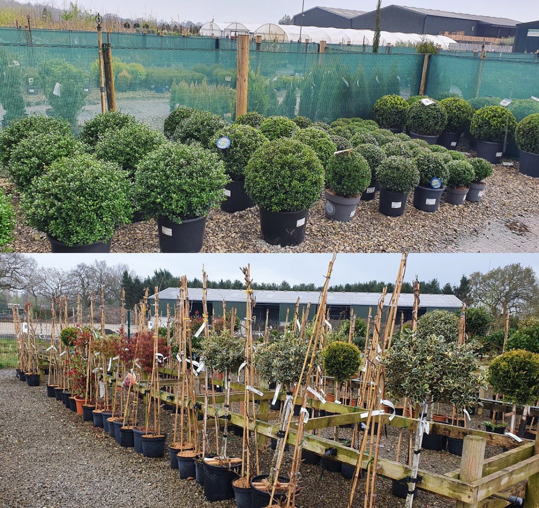 Grasslands Nursery tweet media