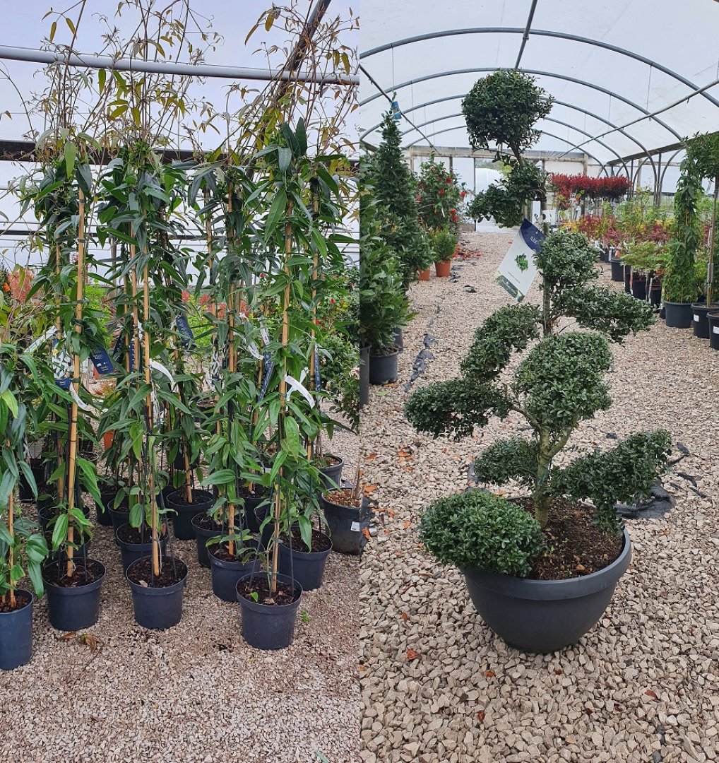 Grasslands Nursery tweet media