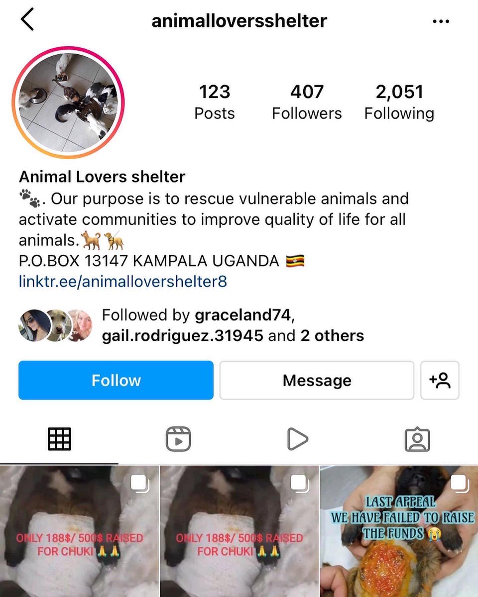 stray_beautiful's tweet image. 🆘🆘🆘SCAMMER IS STEALING MY PICS AND VIDEOS &amp;amp; COLLECTING MONEY! These people make me sick! They collect on our deceased baby Mikey 🥺Uganda is full of fraud and scammers please never donate to people in this country they eat dog there not help them!!! #fraud #scammers #donothelp