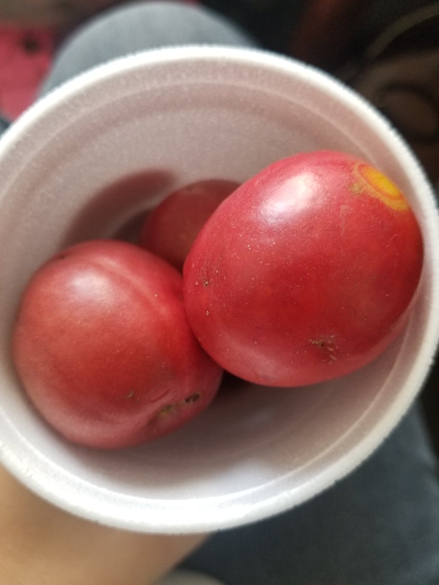 Deathanny13's tweet photo. Papi me trajo un snack ❤❤❤🤤🤤🤤🤤🤤 #DaddyLittleGirl #spoiled #consentida #jocotes https://t.co/uCTzOYtLHh