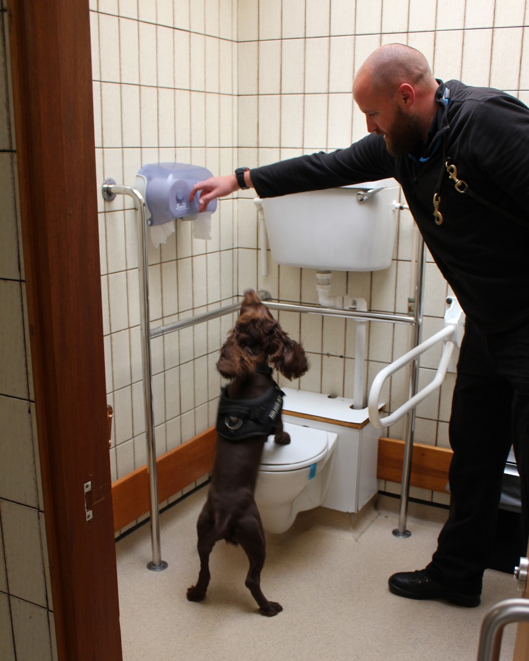 Can You Have Dogs In Jail