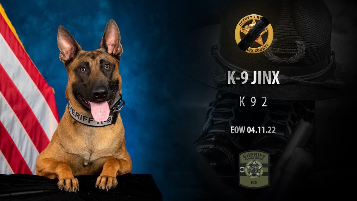 EPCSheriff's tweet photo. We are heartbroken to announce that K9 Jinx was killed in the line of duty last night. The loss of K9 Jinx cannot be put into words as his passing leaves a hole in our EPSO Family. Our thoughts go out to his handler, his family, and the EPSO K9 Unit. Good boy, Jinx. #LoDD #EOW https://t.co/ZcMYcqxSV4
