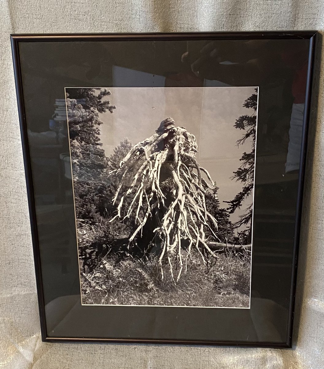 FortMyersRage's tweet photo. @mwasowski is this your photography?  Found it in Fort Myers Florida. https://t.co/lcUoRZtOL7
