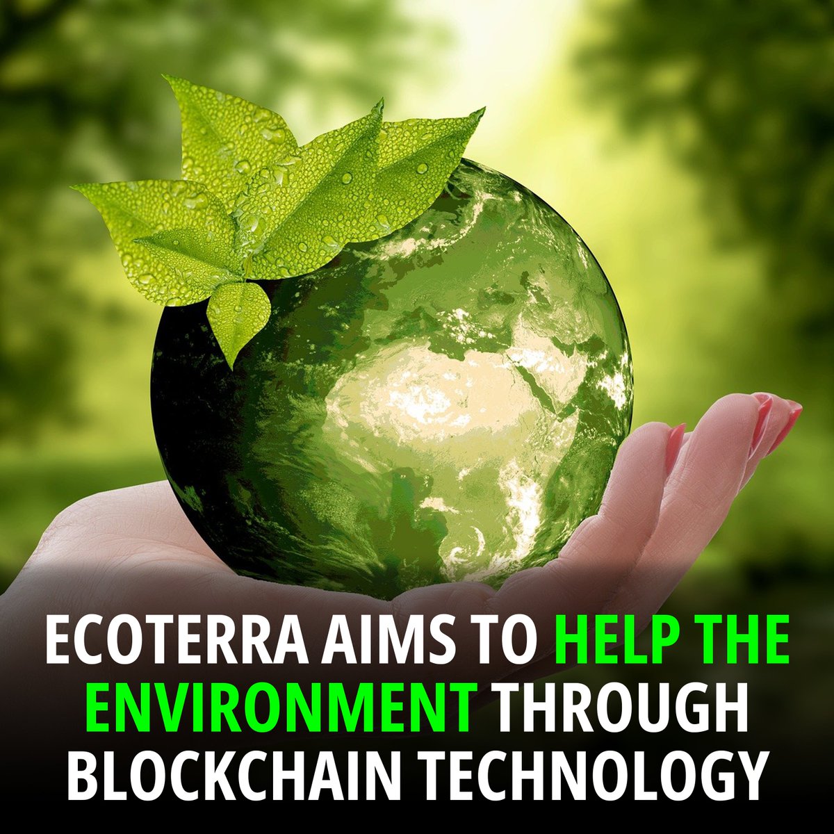 nfthoos's tweet photo. EcoTerra aims to Help the Environment Through Blockchain Technology #nft #nftcommunity #nftnews #crypto #cryptocurrency #nftdrop #nftart #nftcollector #opensea #nftcollectors #nftcollectibles #nfthoos #metaverse #metaversenft #ecoterra #blockchain https://t.co/wRD8mEUrPf