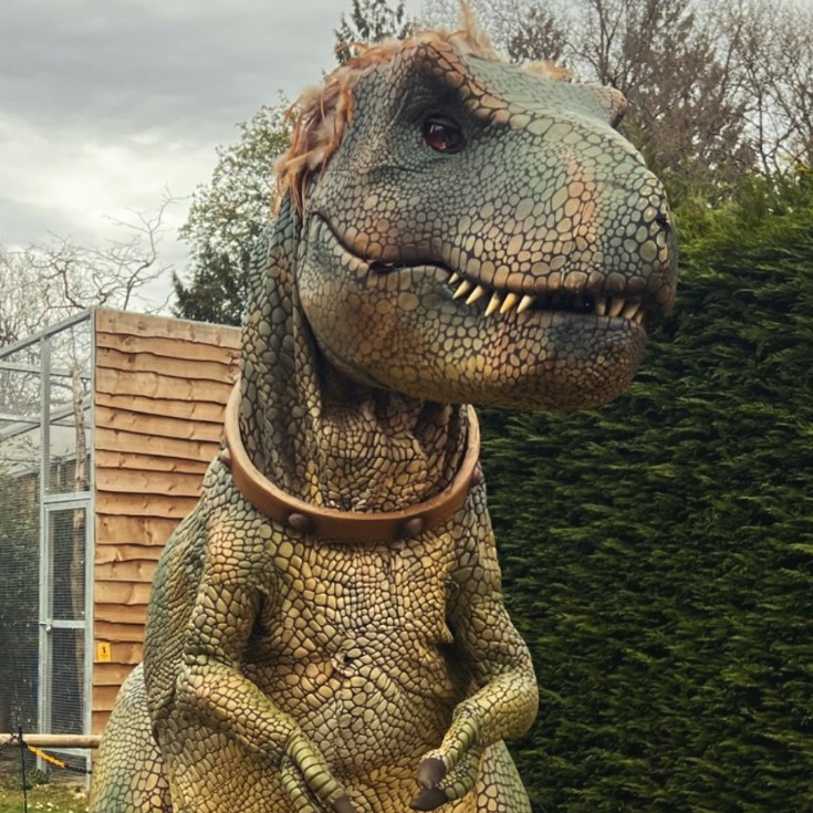 🦖 Only two days left to meet Baxter the T.Rex! 🦖 Book your tickets today: birdworld.co.uk/ticket-informa…